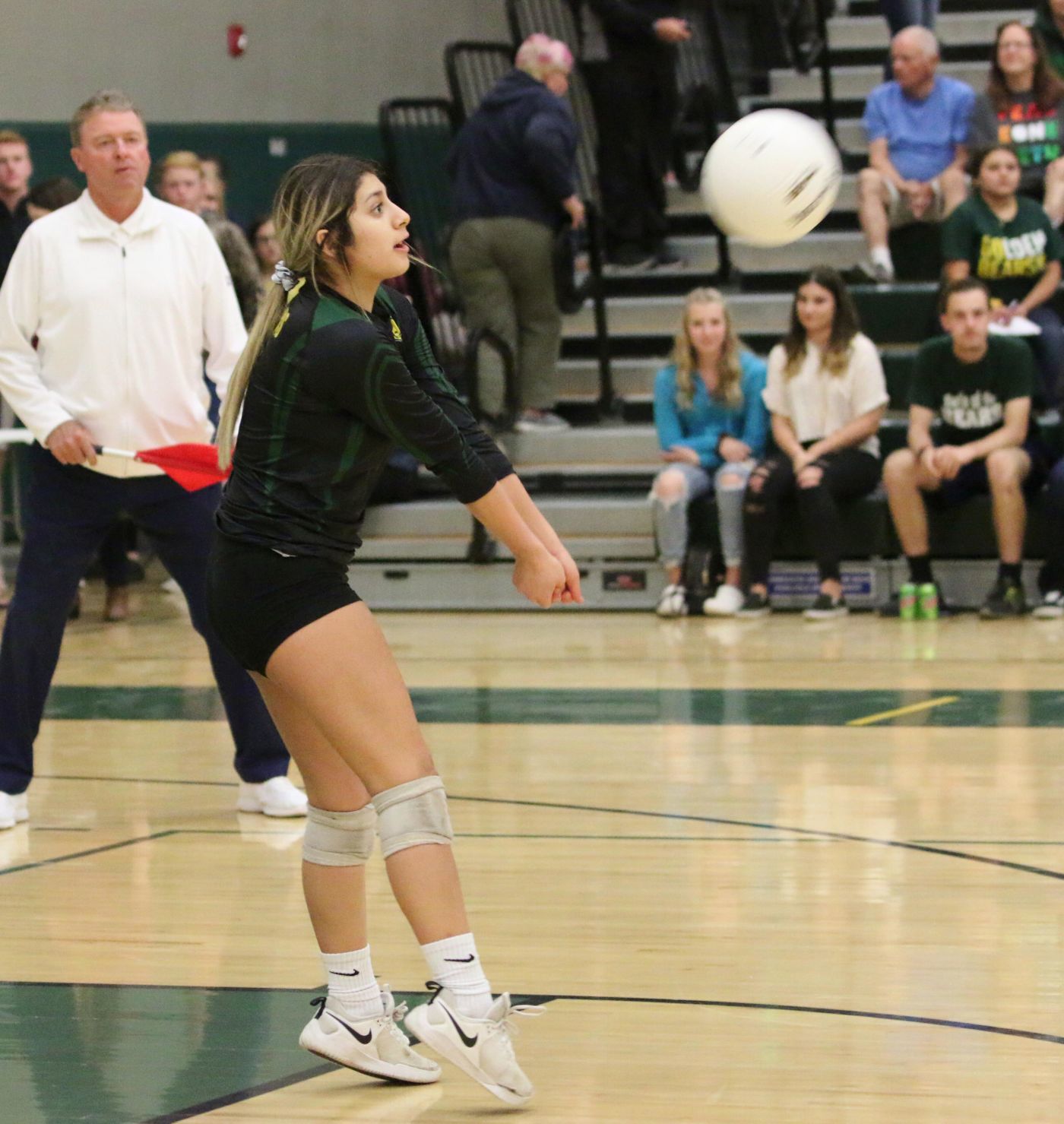 VALLEY BOUND: Golden Bears dispatch Mustangs, advance to championship